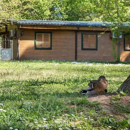 Hotel Kanet